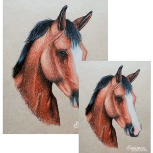 🎉2 x HOST PICK🎉Bay Horse pencils drawing Wall Art Print A4 Signed by artist